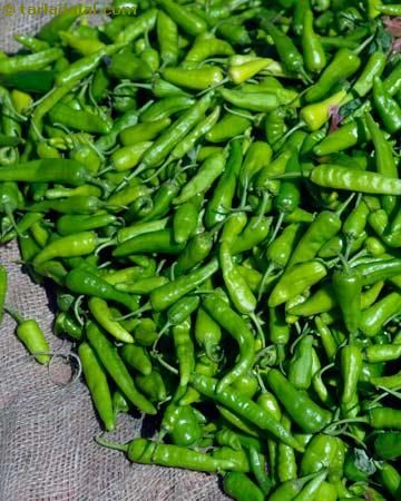 Green Chilli Small